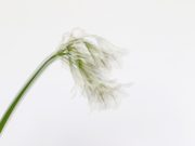 How to Stay Present and Grounded Throughout the Day How to Stay Present and Grounded Throughout the Day