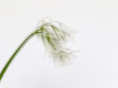 How to Stay Present and Grounded Throughout the Day How to Stay Present and Grounded Throughout the Day