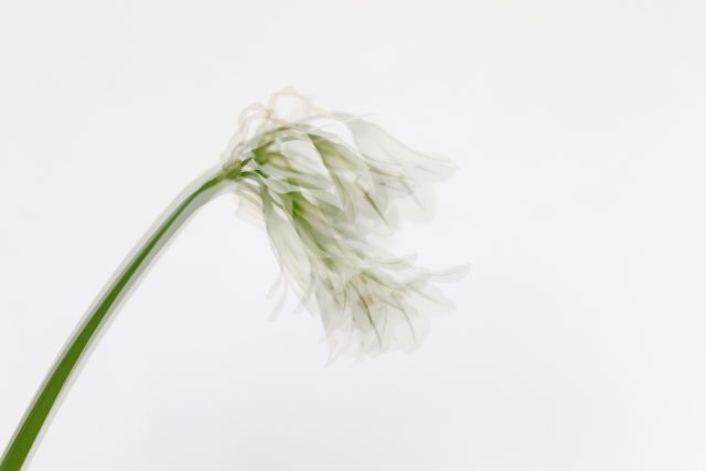 How to Stay Present and Grounded Throughout the Day