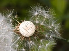 Strengthen Emotional Resilience for a Healthier, Happier You Strengthen Emotional Resilience for a Healthier, Happier You