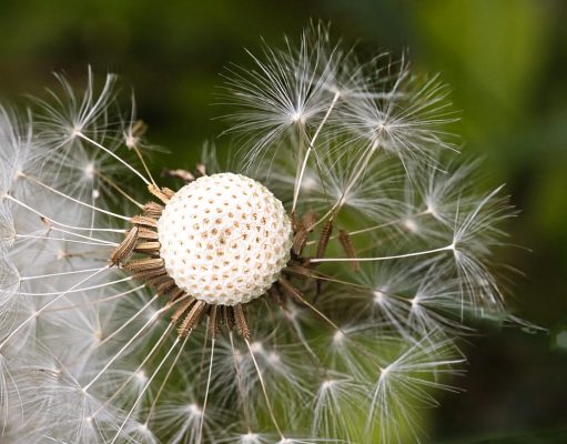 Strengthen Emotional Resilience for a Healthier, Happier You Strengthen Emotional Resilience for a Healthier, Happier You