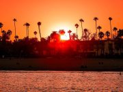 Empower Your Family: Simple Tips to Strengthen Immune Health Empower Your Family: Simple Tips to Strengthen Immune Health