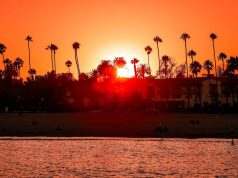 Empower Your Family: Simple Tips to Strengthen Immune Health Empower Your Family: Simple Tips to Strengthen Immune Health