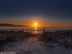 Unlocking Vitality: The Essential Role of Stretching for Well-Being Unlocking Vitality: The Essential Role of Stretching for Well-Being