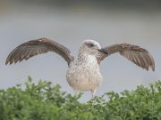 Empower Your Mind and Body: Discover the Benefits of Yoga Empower Your Mind and Body: Discover the Benefits of Yoga