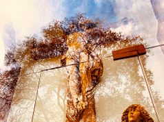 Discover the Top Supplements for Radiant Skin and Youthful Aging Discover the Top Supplements for Radiant Skin and Youthful Aging