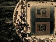 Stay Hydrated: Unlocking the Key to Optimal Health and Fitness Stay Hydrated: Unlocking the Key to Optimal Health and Fitness