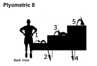 Understanding the Science Behind Plyometrics