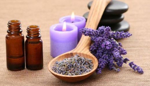 Harnessing‌ the Power of Herbal Remedies‍ for Migraine Relief