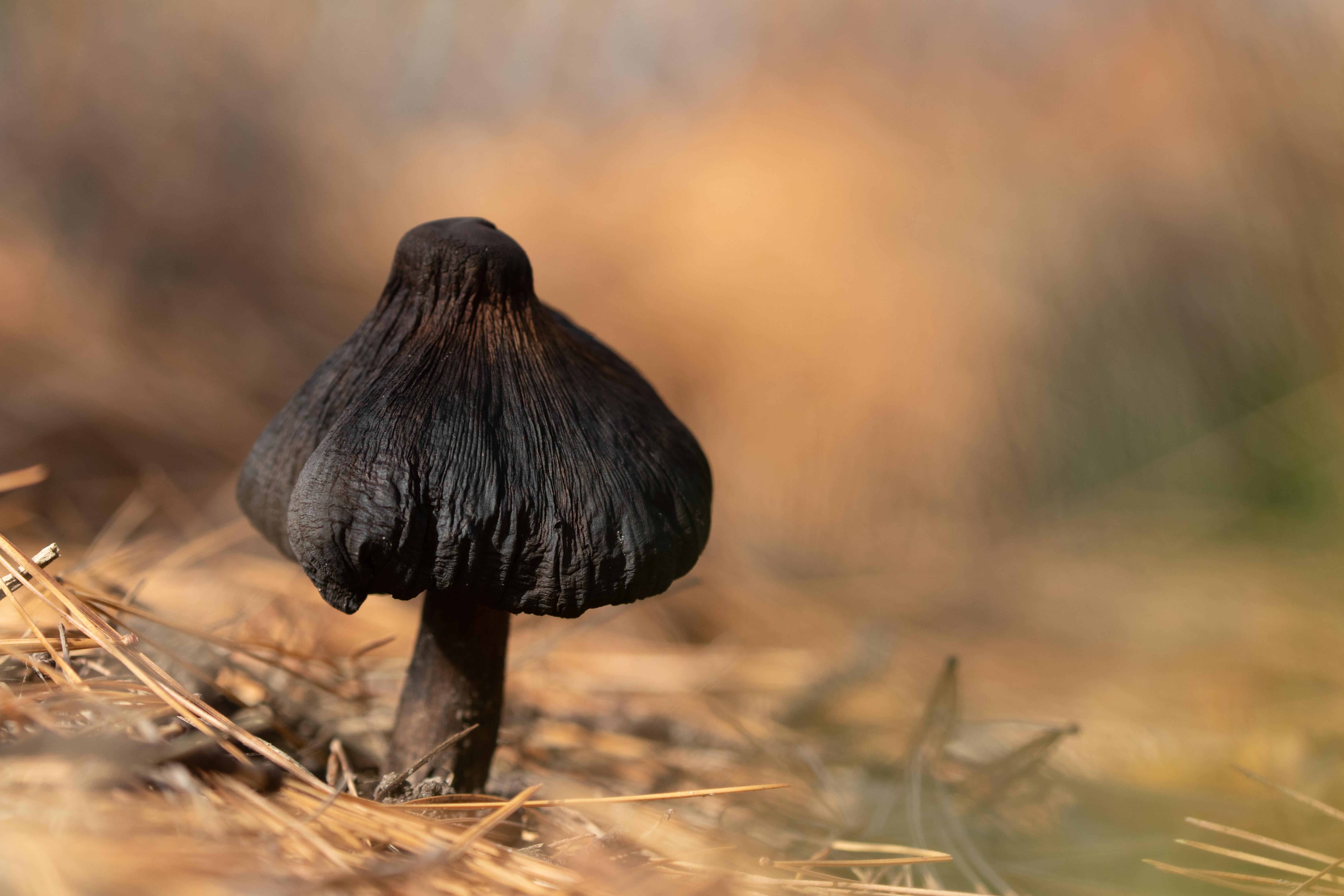 Building a Supportive Environment for Stress Relief