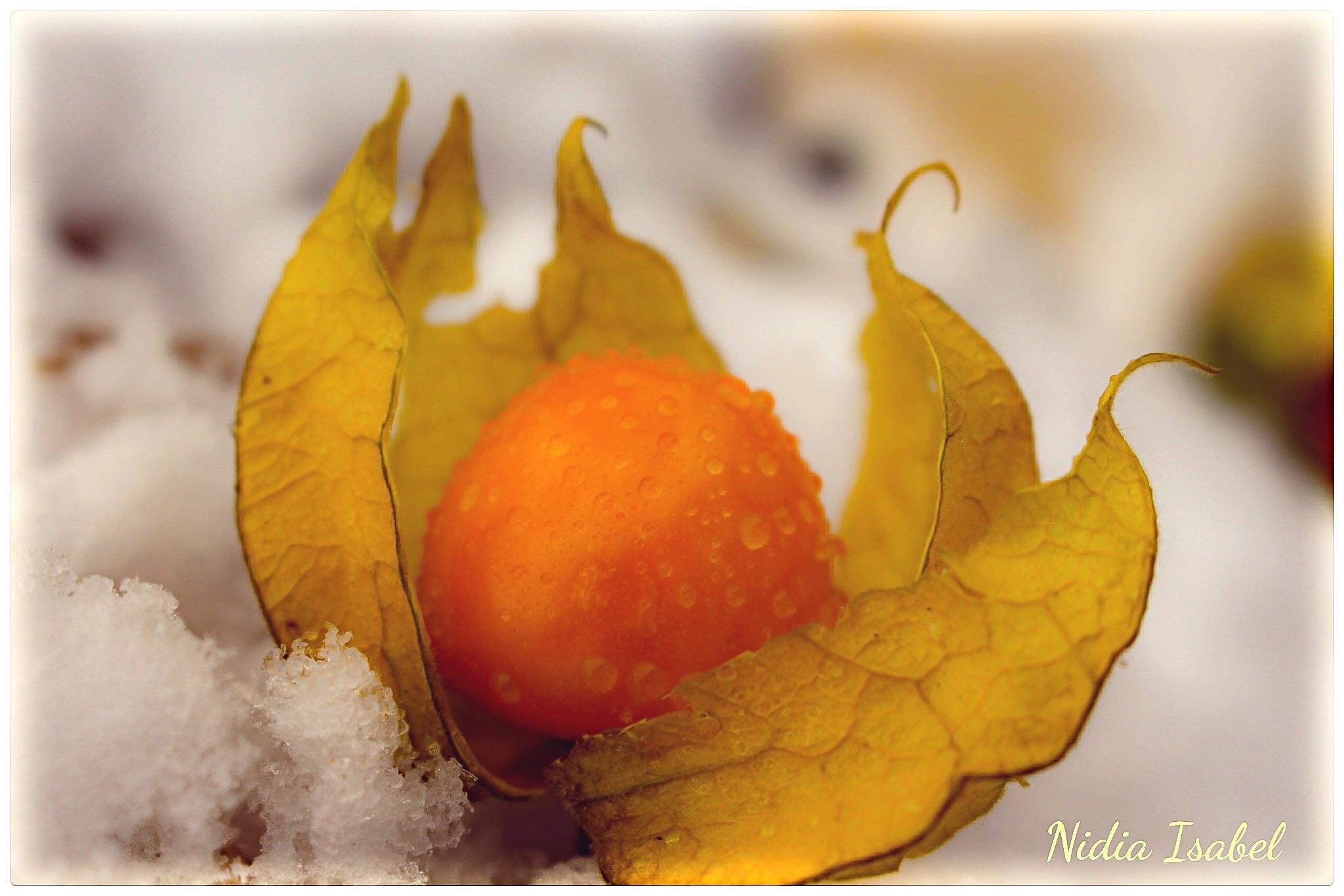 Key Ingredients to Look for in ​Vitamin C ⁢Products
