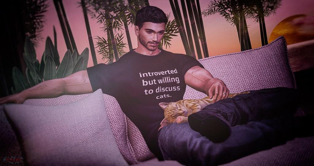 Understanding the Grieving Process: A Compassionate Guide