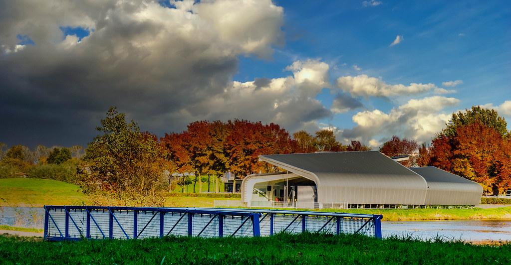 Nourishing Nutrition Choices for Robust Health