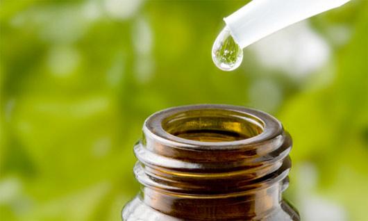 Natural Remedies and Alternative Therapies to Support Immune Health