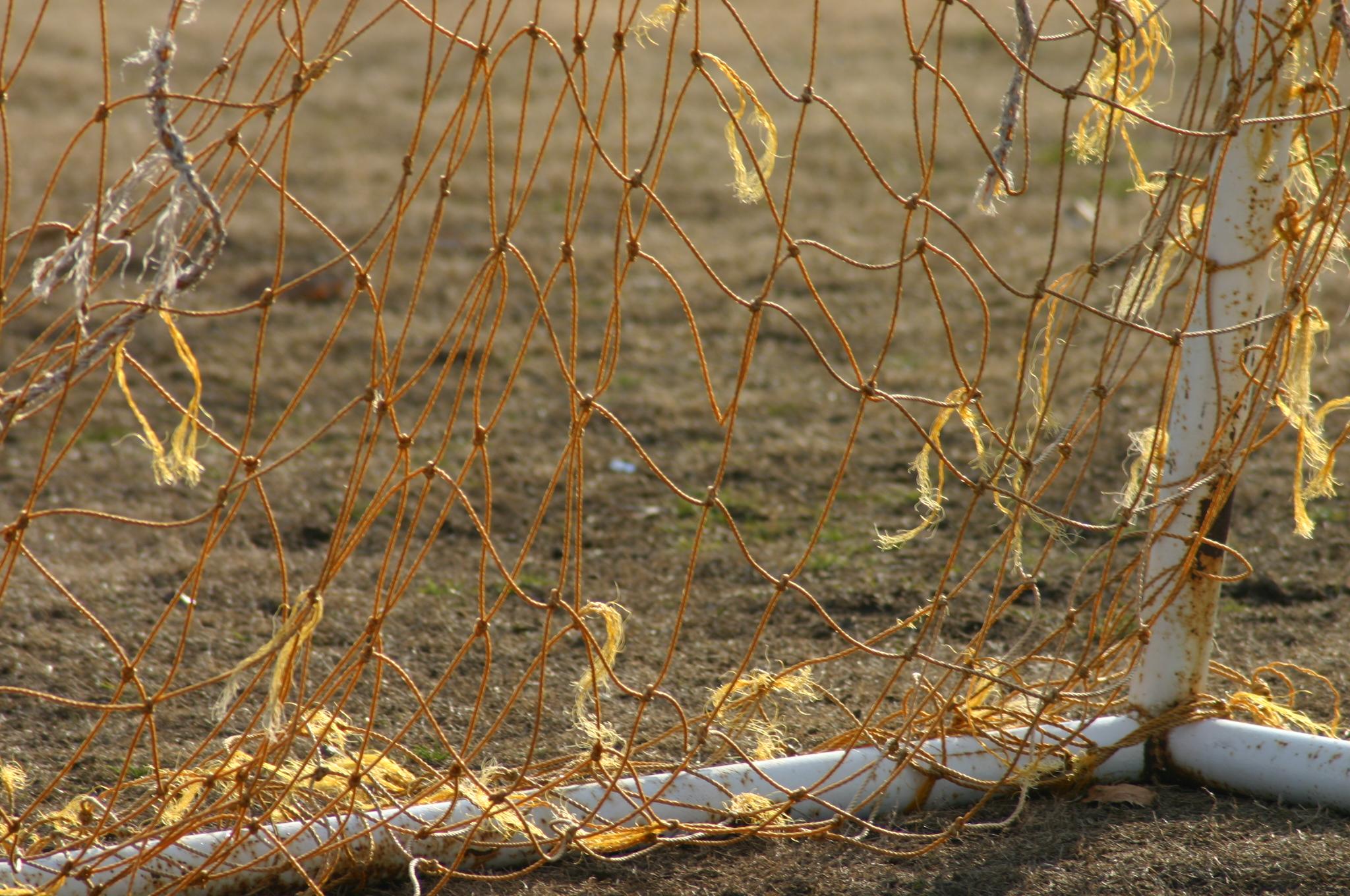 Setting Intentional Goals: Transformative Strategies for Mental Growth