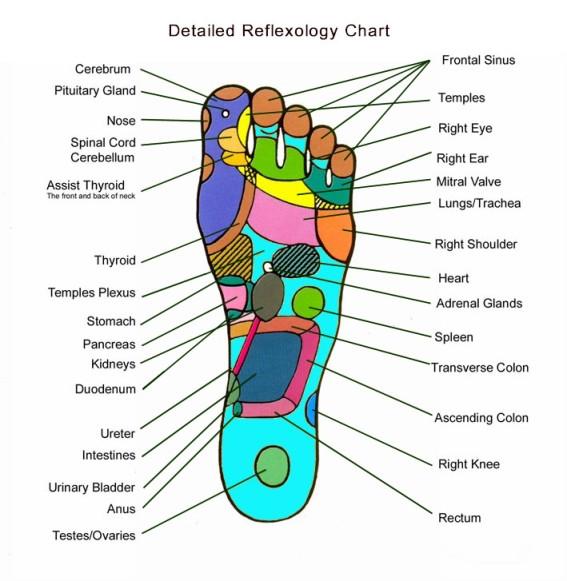 Integrating Acupressure into Your Daily Wellness Routine