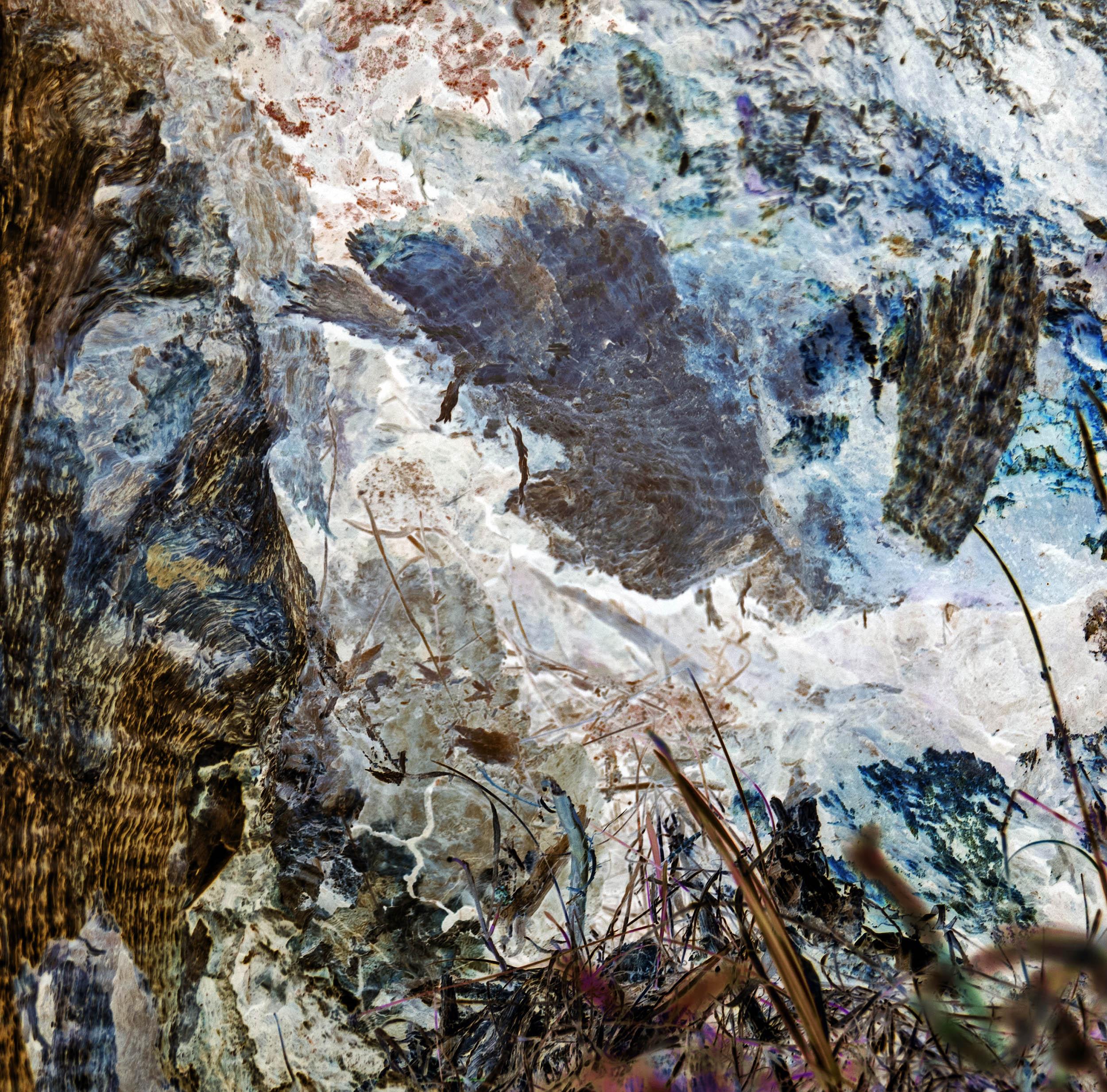 Understanding the Healing Power of Nature