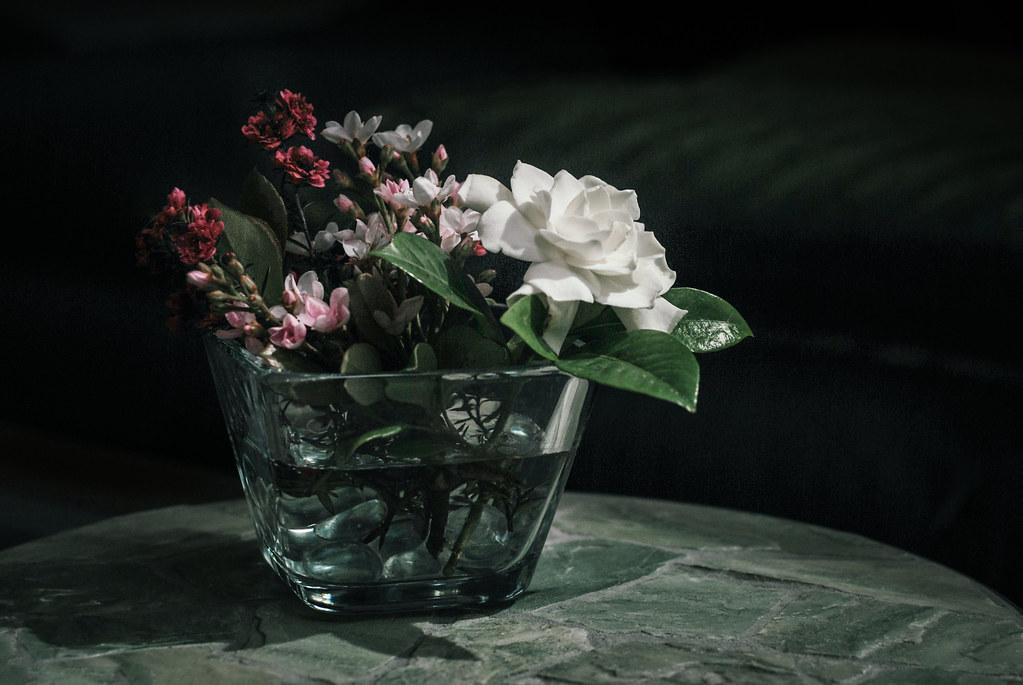 Creating a Calming Atmosphere at Home