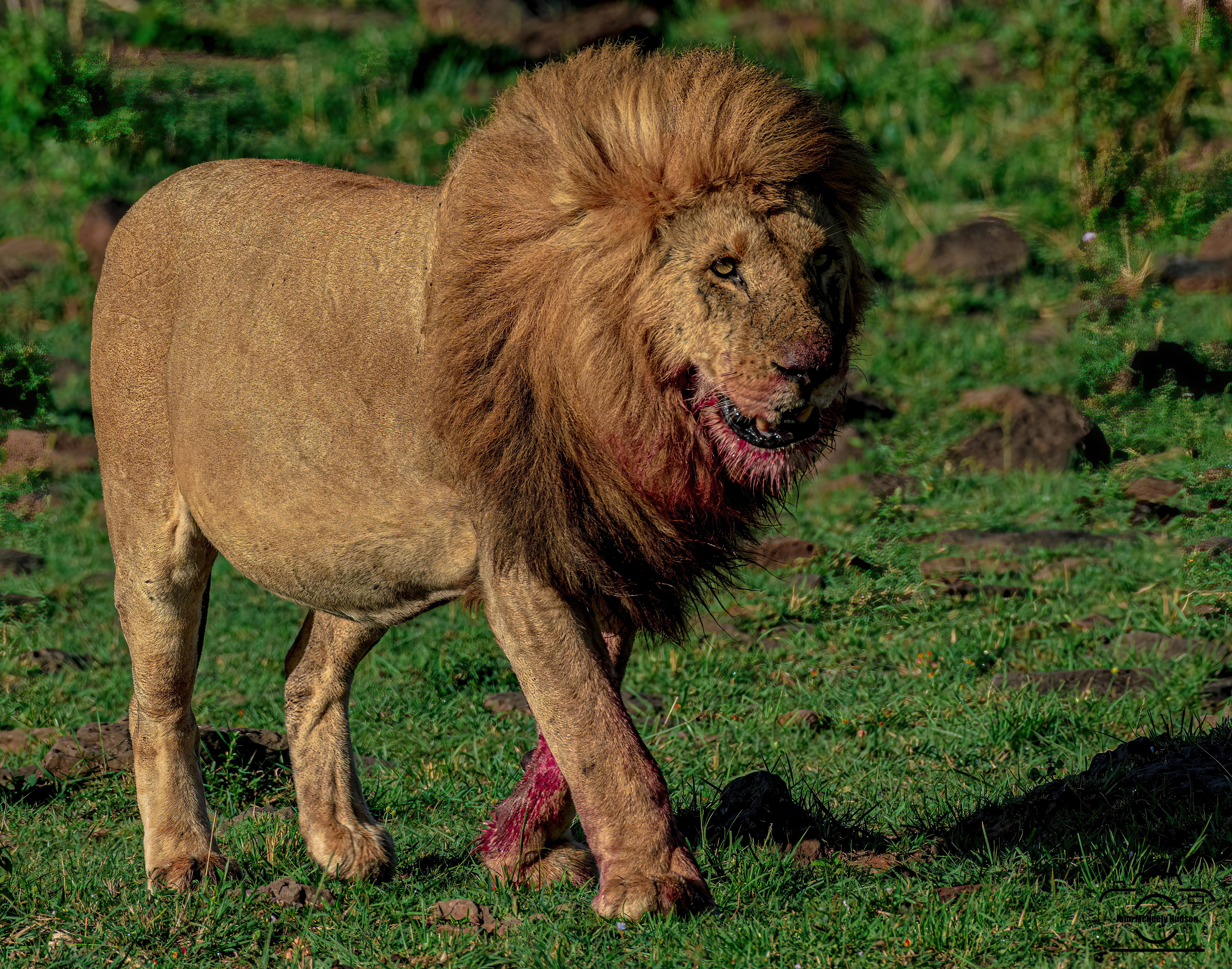 Incorporating Healthy Fats into Daily Meals for Sustained Energy