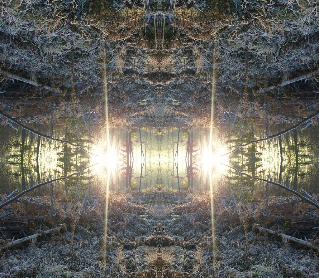 Embracing Emotions: Allowing Yourself to Feel and Heal