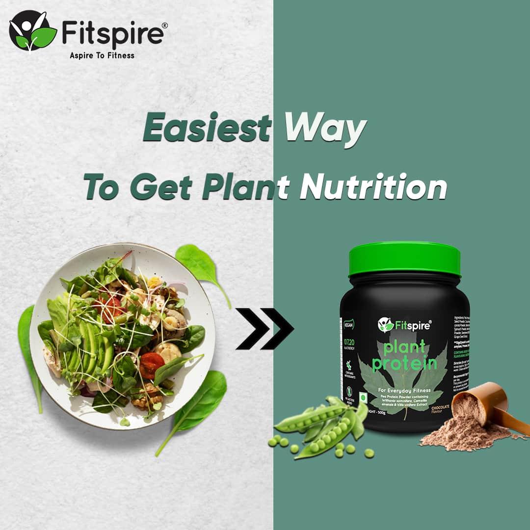 Key Ingredients to Look for in Vegan Protein Supplements