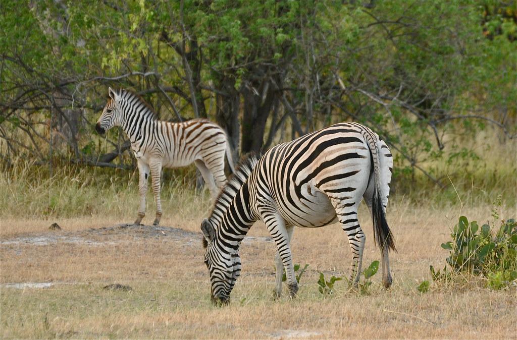 Embracing Outdoor Mindfulness Practices