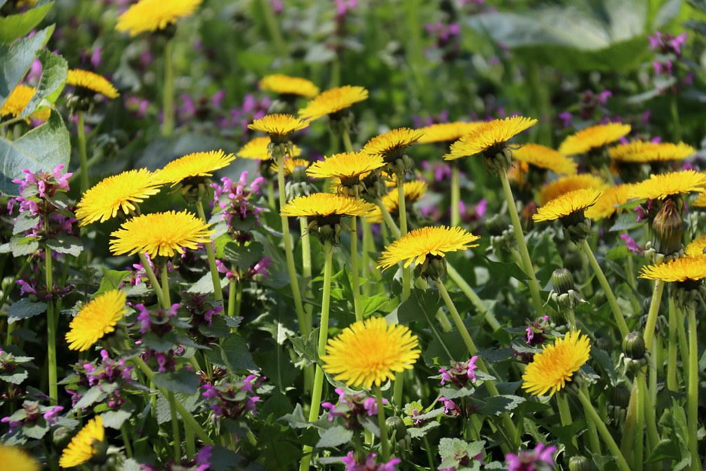 Choosing the Right Supplements for Your Unique Needs