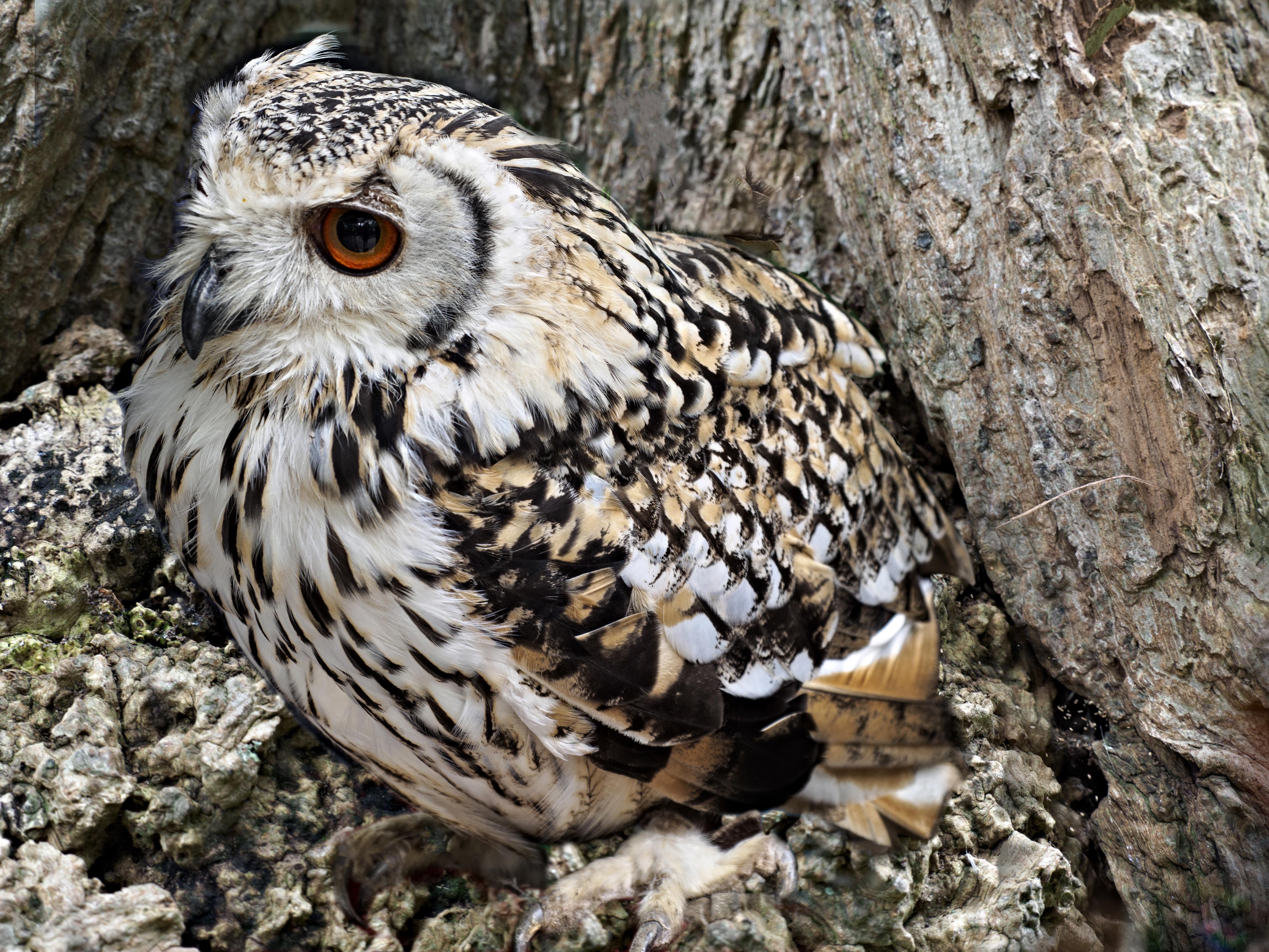 Cultivating a Mindful Practice: Techniques for Effective Self-Reflection