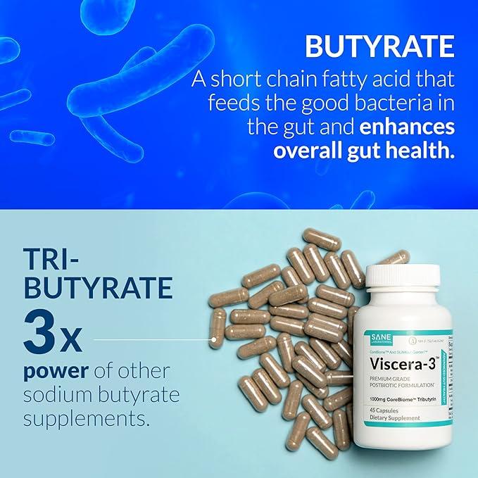 Understanding the Importance of Gut Health and How Supplements Can Help