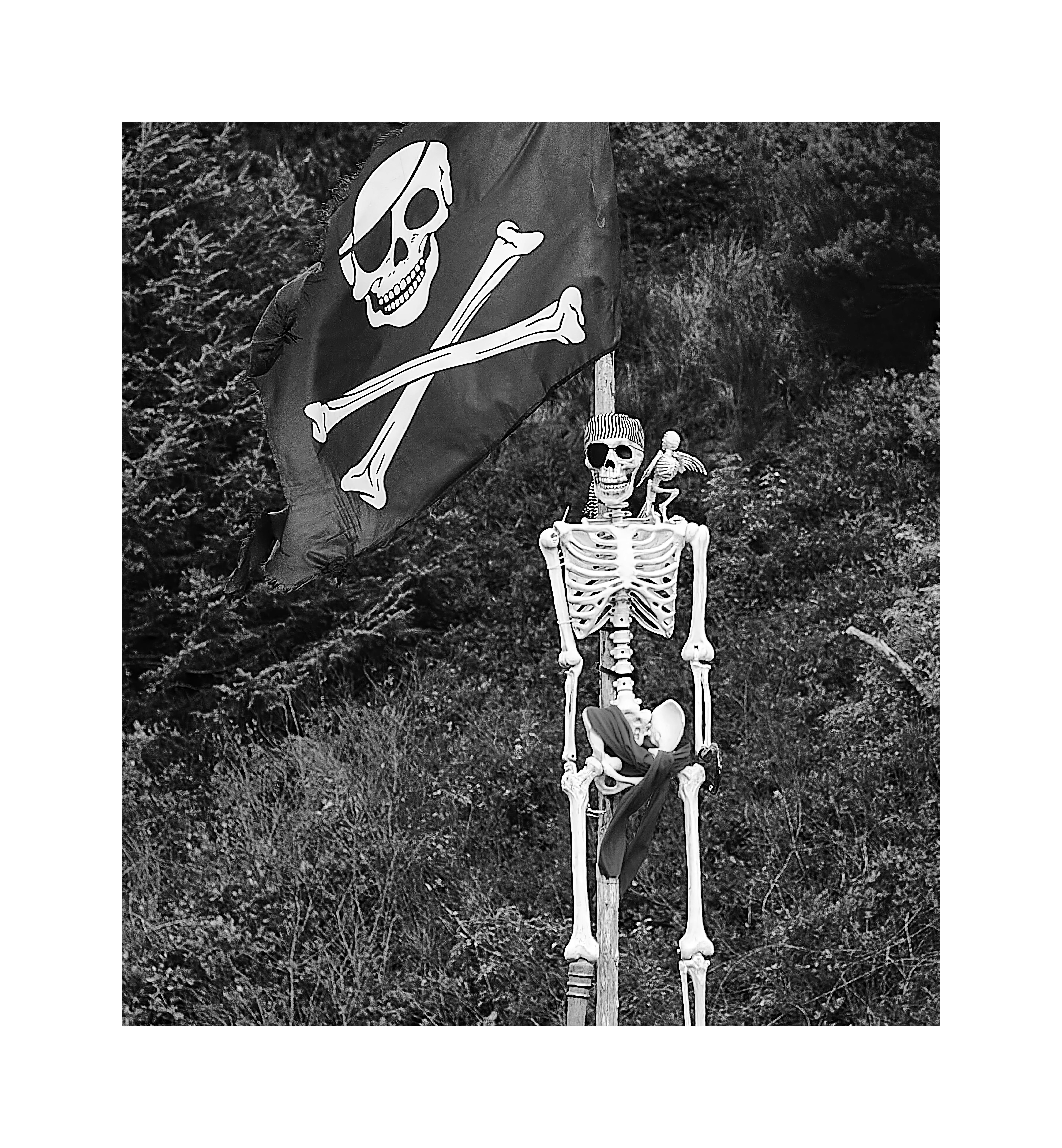 Monitoring Progress and Adjusting Your Plan