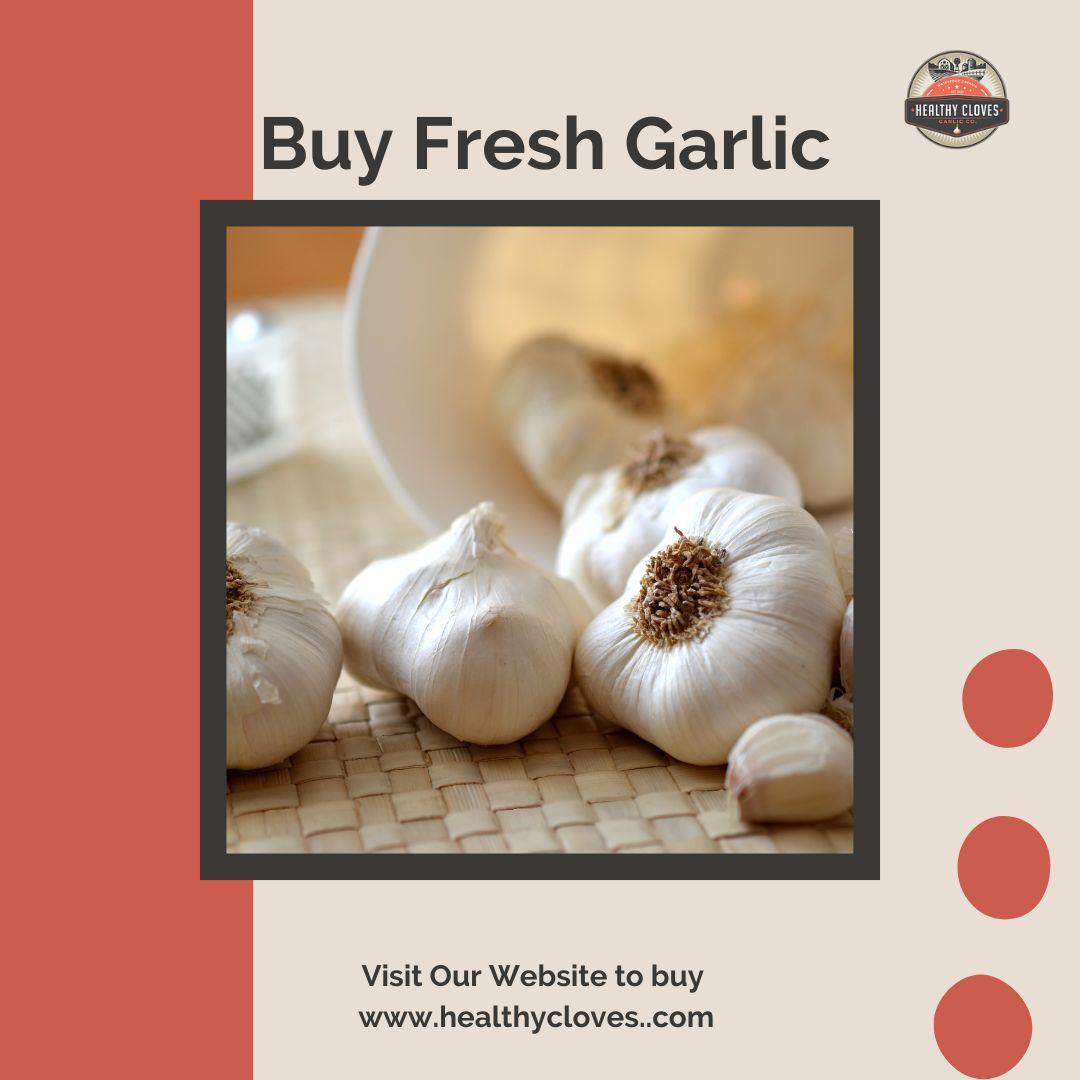 Understanding Garlic’s Immune-Boosting Properties